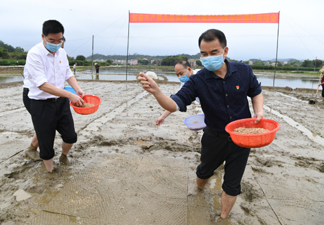 DSC_9824一.jpg