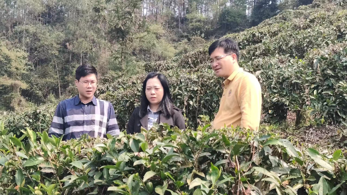 微信圖片_20230227143305(1).jpg