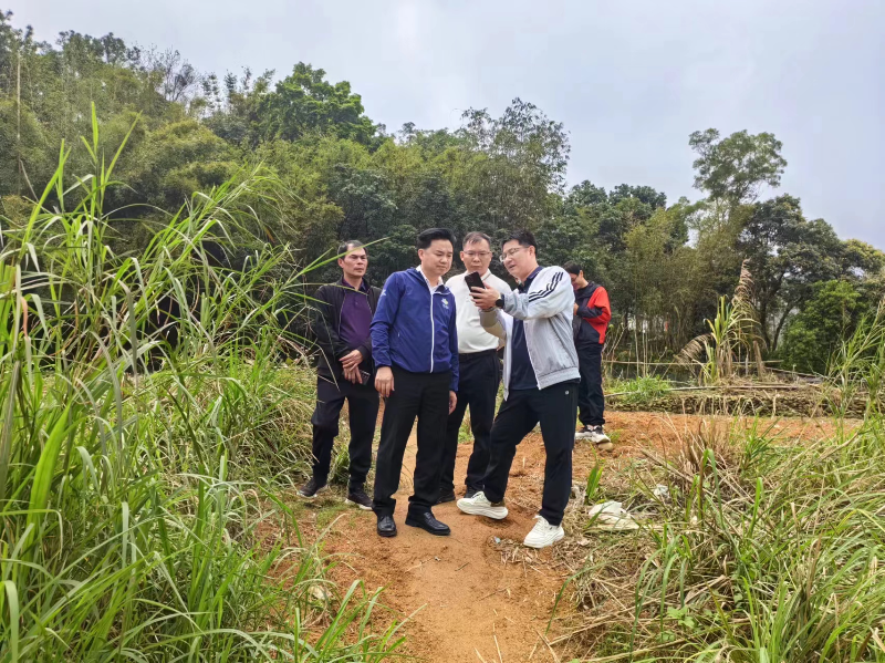 已編輯圖片