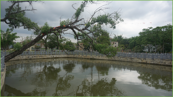村內(nèi)一角.png