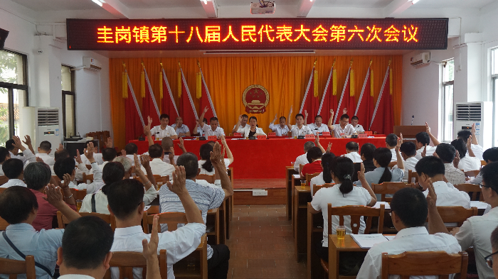 人大代表表決.JPG