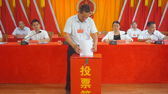 鎮(zhèn)人大代表進(jìn)行不記名投票.JPG