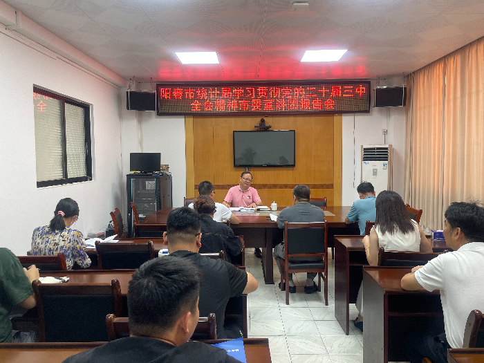市統(tǒng)計局：召開學(xué)習(xí)貫徹黨的二十屆三中全會精神市委宣講團報告會.jpg