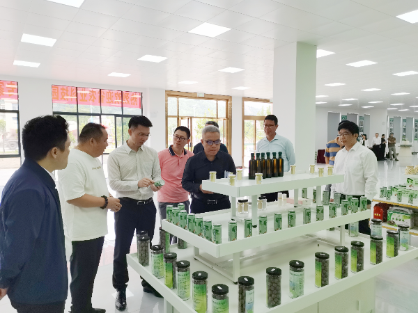 IMG_20241029_111604(1)_副本.jpg