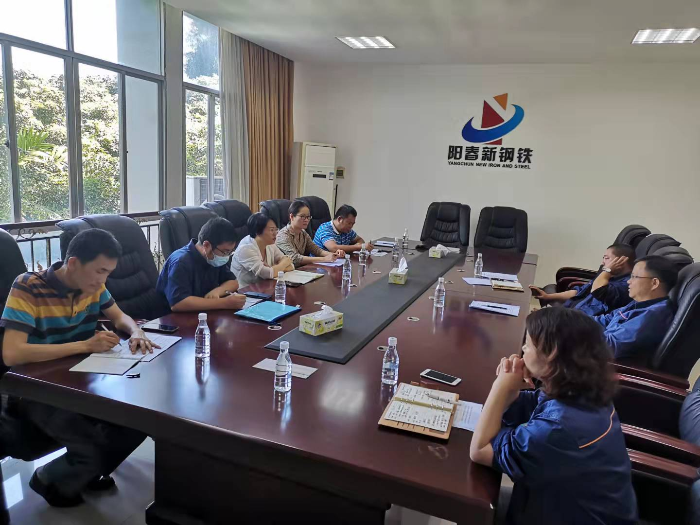 鄭偉珍到我市調(diào)研能耗“雙控“工作1.jpg